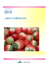 ディスクロージャー2018 JA新ひたち野REPORT