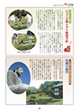広報誌 新ひたち野 no.3
