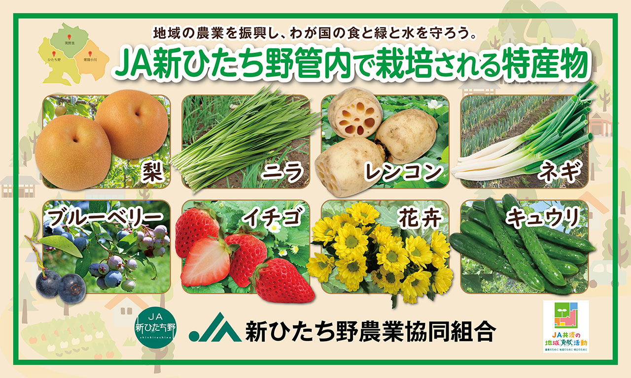 JA新ひたち野管内で栽培される特産物