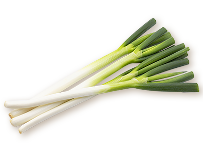 ねぎイメージ