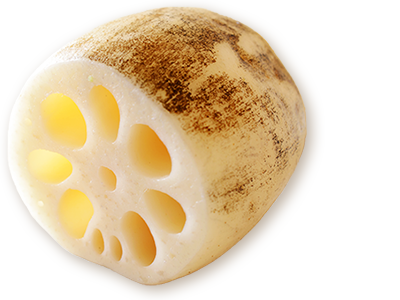 れんこんイメージ